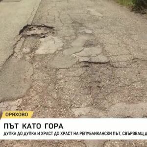 Снимка: Път като гора: Дупка до дупка и храст до храст