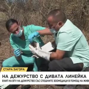 Снимка: Екип на bTV на дежурство със спешните зоомедици в помощ на животни в беда