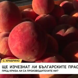 Снимка: Ще изчезнат ли българските праскови?