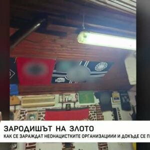 Снимка: Как се зараждат неонацистките организации и докъде се простират?