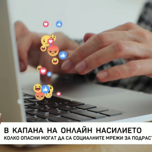Снимка: В капана на онлайн насилието: Колко опасни могат да са социалните мрежи за подрастващите?