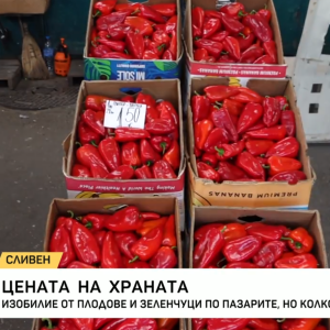 Снимка: Изобилие от плодове и зеленуци по пазарите, но колко струват?