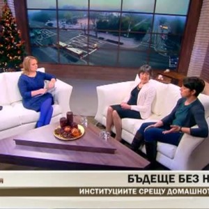Снимка: Институциите срещу домашното насилие