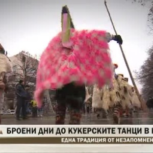 Снимка: Броени дно до кукерските танци в Крупник