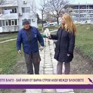 Снимка: Да строиш алеи между блоковете