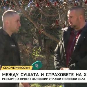 Снимка: Между сушата и страховете на хората