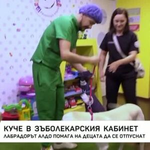 Снимка: Куче в зъболекарския кабинет