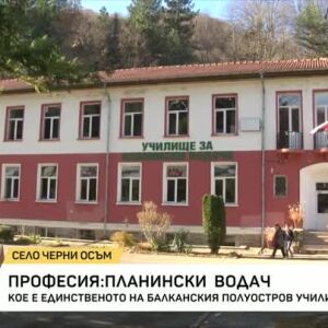 Снимка: Професия: планински водач