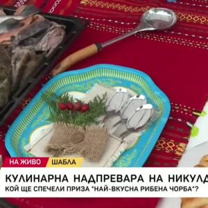 Снимка: Празник на рибената чорба се провежда в Шабла
