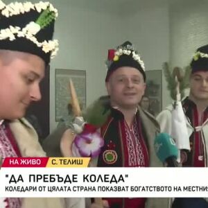 Снимка: Коледари от цялата страна показват богатството на местния фолклор