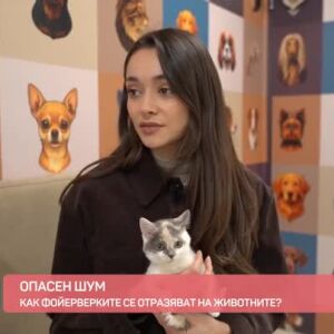 Снимка: Опасен шум: Как фойерверките се отразяват на животните?