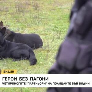 Снимка: Герои без пагони