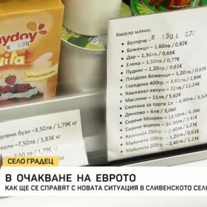 Снимка: В очакване на еврото: Как ще се справят с новата ситуация в село Градец?