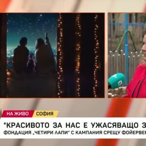 Снимка: Фондация "Четири лапи" с кампания срещу фойерверките