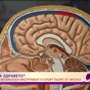Снимка: Духът на здравето: Чужд език, музикален инструмент и спорт пазят от инсулт
