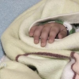 Снимка: Каузата да бъдеш родител