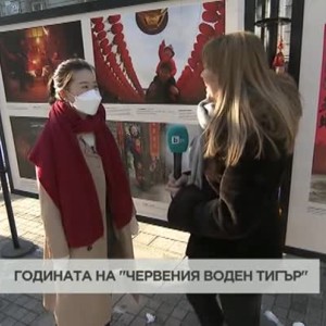 Снимка: Каква ще бъде Годината на тигъра по традиционния китайски календар?