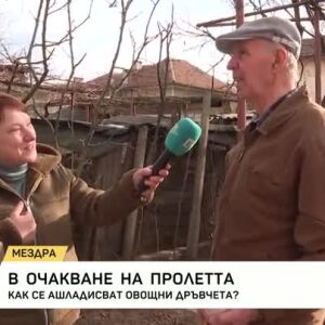 Снимка: Мездра в очакване на пролетта