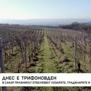 Снимка: Днес е Трифоновден