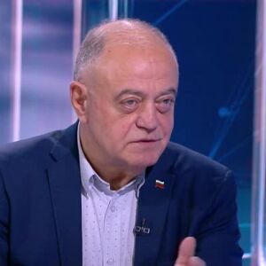 Снимка: Листите като "ябълка на раздора": Коалиционни неволи вдясно?