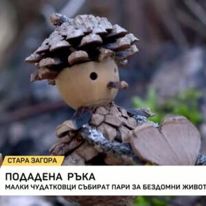 Снимка: "Малки чудатковци" събират пари за бездомни животни