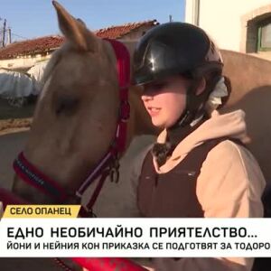 Снимка: Едно необичайно приятелство