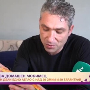 Снимка: Влечуго за домашен любимец