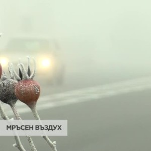 Снимка: Какво ни причинява мръсният въздух?