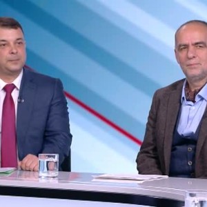 Снимка: Готви ли се изсичане на 10% от горите?
