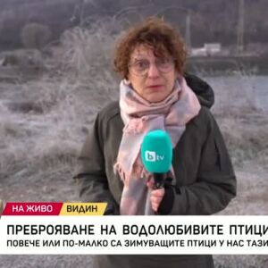 Снимка: Преброяване на водолюбивите птици у нас