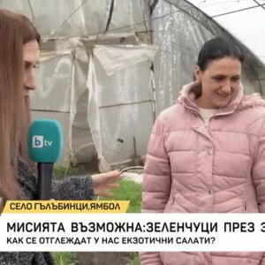 Снимка: Мисията възможна: зеленчуци през зимата