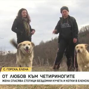 Снимка: Жена спасява стотици бездомни кучета и котки