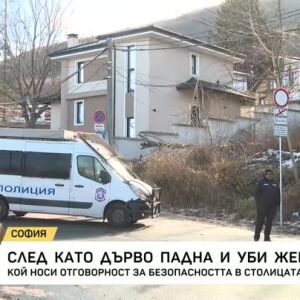 Снимка: Дърво падна върху автомобил и уби жена