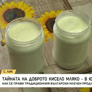 Снимка: Тайната на доброто кисело мляко - в ЮНЕСКО?
