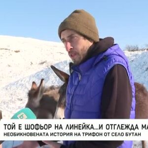 Снимка: Шофьор на линейка, който отглежда магарета