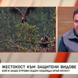 Снимка: Лешоядите стават косвени жертви на човека