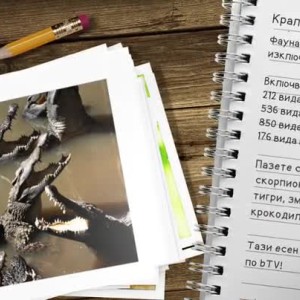 Снимка: Кратък наръчник за оцеляване в Камбоджа