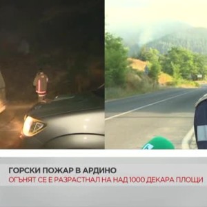 Снимка: Пожарът в Ардино е локализиран