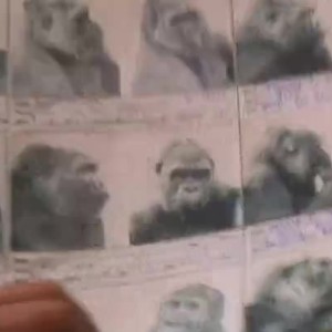 Снимка: Дънстън сам в хотела - утре от 13 часа по bTV