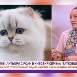 Снимка: Котки артисти в студиото на "Преди обед"