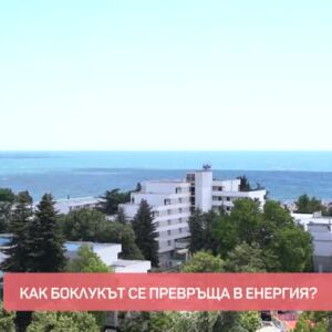 Снимка: Как отпадъците в "Албена" се превръщат в гориво?