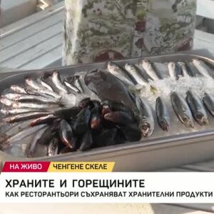 Снимка: Как ресторантьори съхраняват рибата в жегата?