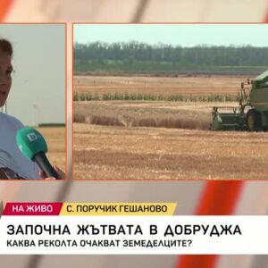 Снимка: Започна жътвата в Добруджа