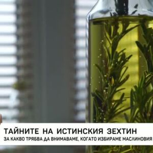 Снимка: Тайните на истинския зехтин