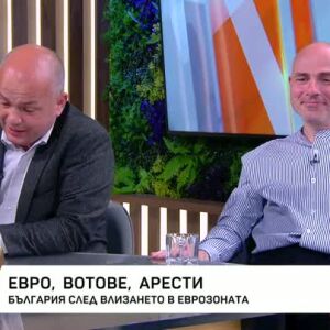 Снимка: Евро, вотове, арести