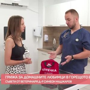Снимка: Как да се грижим за домашните любимци в горещото време?