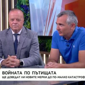Снимка: Как да се намалят катастрофите по пътищата?