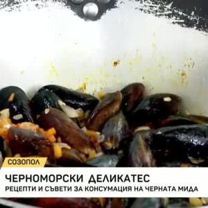 Снимка: Черноморски деликатес: Рецепти и съвети за консумация на черната мида