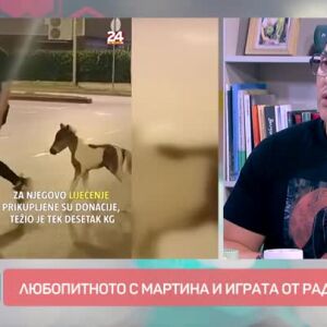 Снимка: Говорим за... Пони, теле и патица