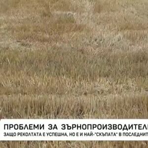 Снимка: Проблеми за зърнопроизводителите